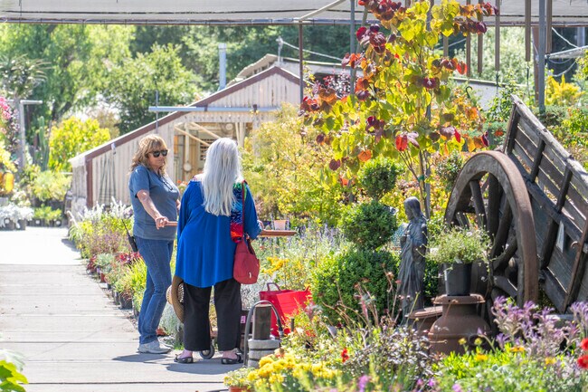 Alladin Nursery has a lot of beautiful plants to sell in the Amesti area.