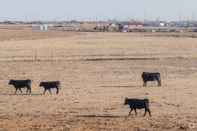 Dalhart’s ranching heritage is represented by a robust presence of dairy industry employers.