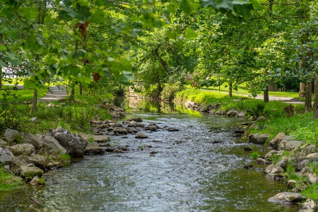 The beautiful Cacoosing Creek runs through Cacoosing Meadows Park in Whitfield.