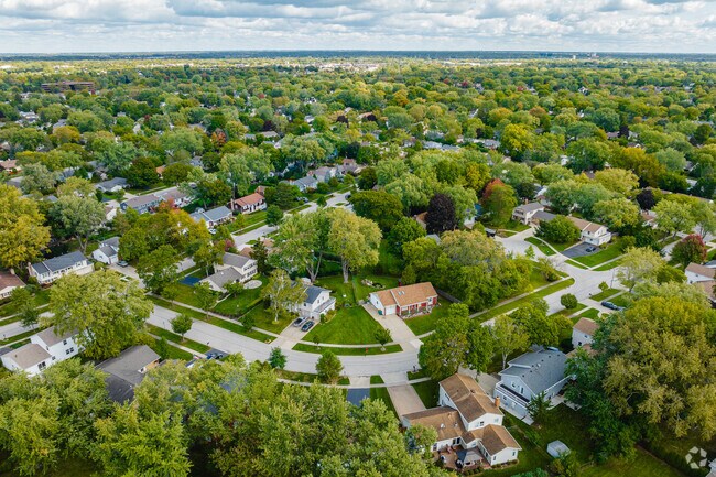 Homes in South Buffalo Grove sit on spacious lots nestled between lush trees.