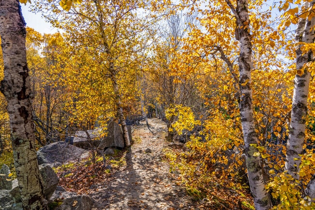 Millstone Hill in Websterville has a series of trails that wind through the abandoned quarries.