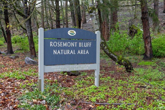 Residents can enjoy the walking trails at Rosemont Bluff Natural Area in North Tabor.