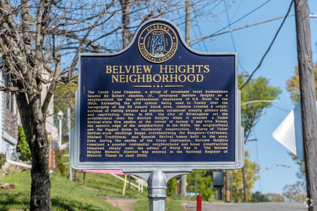 Learn about the coal, railroad, and iron town history of Belview Heights.