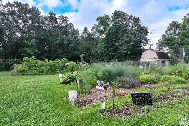 If you have a green thumb and love organic food, Ballfield Farm is the perfect spot for you.