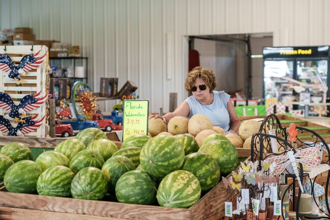 A produce shopper selects the perfect melon at Wright’s Market in Mardela Springs.