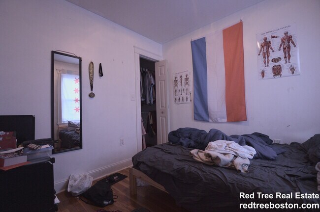149 Calumet St unit 1, Roxbury Crossing, MA 02120 - photo 5