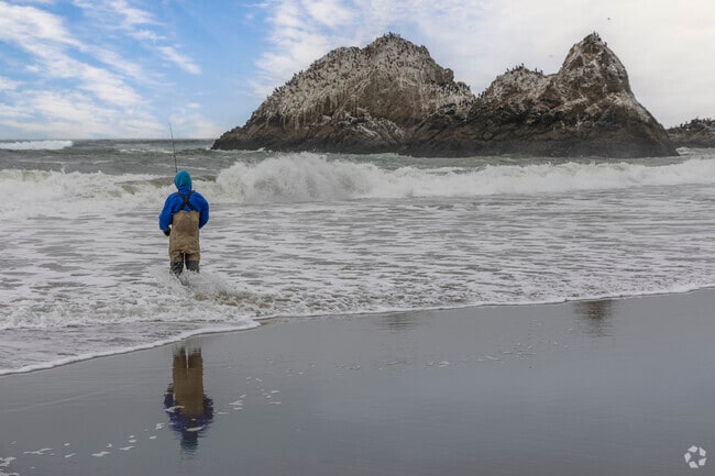 Outer Richmond's Ocean Beach is a popular spot for fishermen.