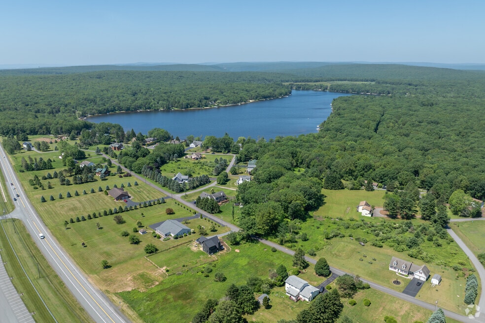 Penn Forest_1028951_CL_070125_V2
