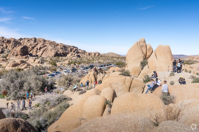 Desert Edge residents have access to world-class hiking and rock climbing at Joshua Tree National Park.