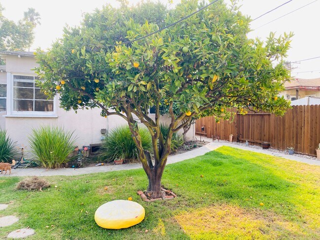 2127 20th St unit A, Santa Monica, CA 90405 - photo 5