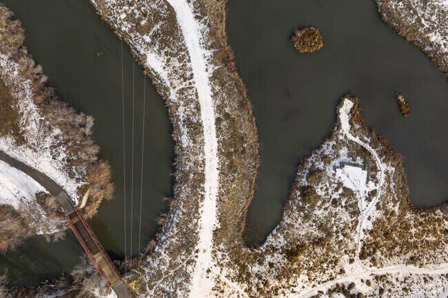 Overview of the 9 Line Trail Wetlands Preserve.