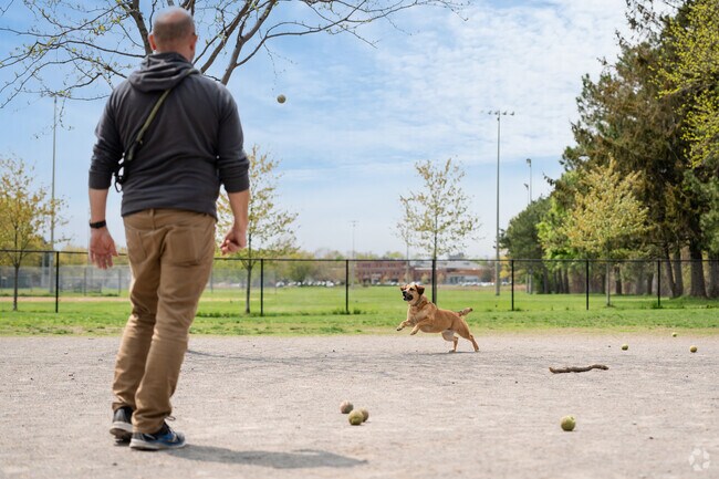There is a leash free dog park in Upper Monroe in between sport courts at Cobbs Hill Park.
