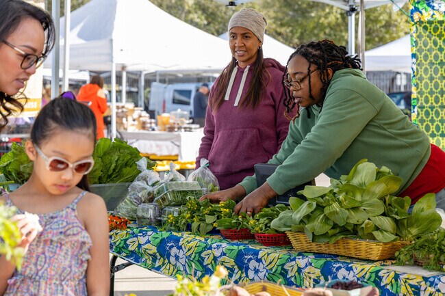 Shop a wide selection of produce at the Rice Village Farmers Market near West University Place.