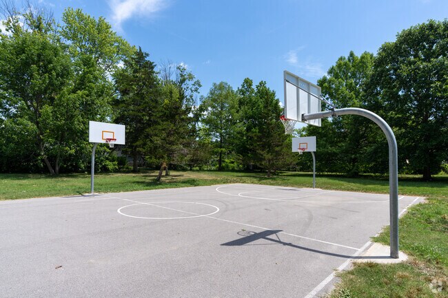 Bring your ball and start a pickup game at Rock Bridge Park.