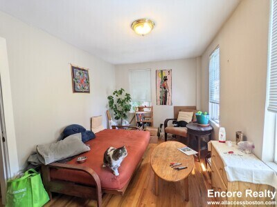 434 Franklin St unit 1, Cambridge, MA 02139 - photo 3