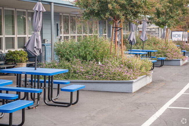 St. Dominic School offers a space where all people can learn and thrive.