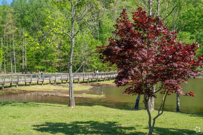 Enjoy the beautiful weather at Cosby Lake Park in Clay.