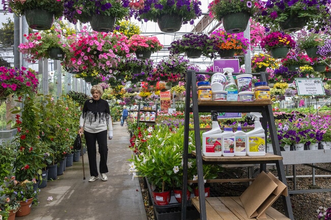 Whitney's Farm Market and Garden Center in Cheshire has a large greenhouse with many hanging baskets for sale.