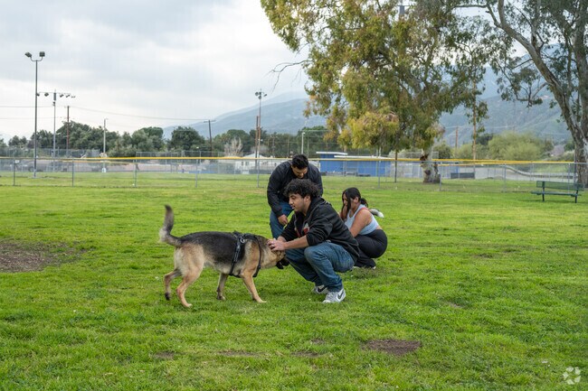 Bring your best furry friend toe Wildwood Park's dog park.