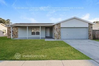 1310 Blossom Brook Ct, Brandon, FL 33511