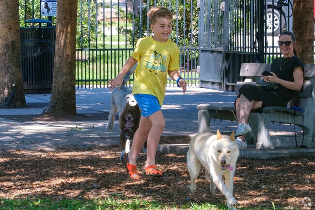 A young boy plays with dogs at Constitution Green in Thornton Park.