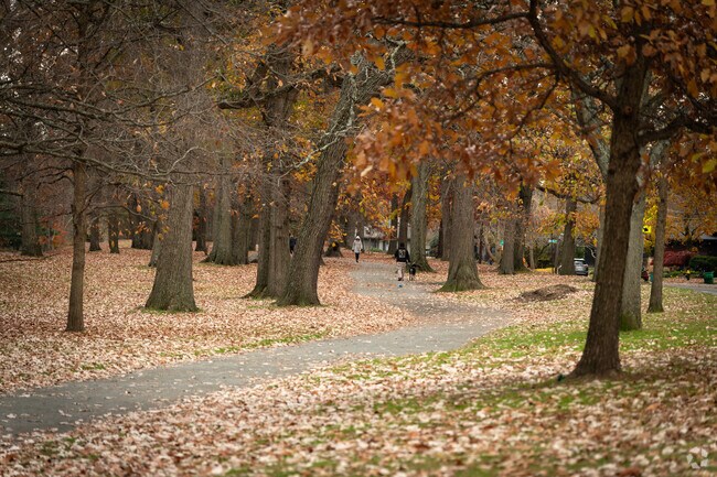 Blackstone Boulevard Park near Hope Street draws locals for walks and morning runs.