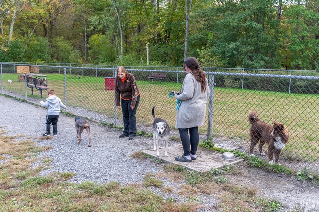 Pet owners from Montgomery love going to Paul JR. Designs Dog Park, which is part of Veterans Memorial Park.