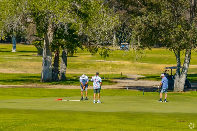 Cottonwood Golf Club in Rancho Park is a common spot for golf and socializing.
