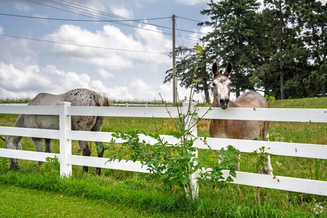 Le Sueur has a strong farming community to supply its industrial base.