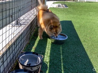 40 Brisa Ave, Saint Augustine, FL 32084