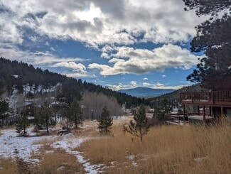 120 Wisp Creek Dr Unit Tree Top, Bailey, CO 80421