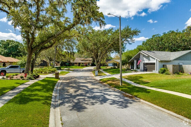 A typical neighborhood street in Seffner, Florida.