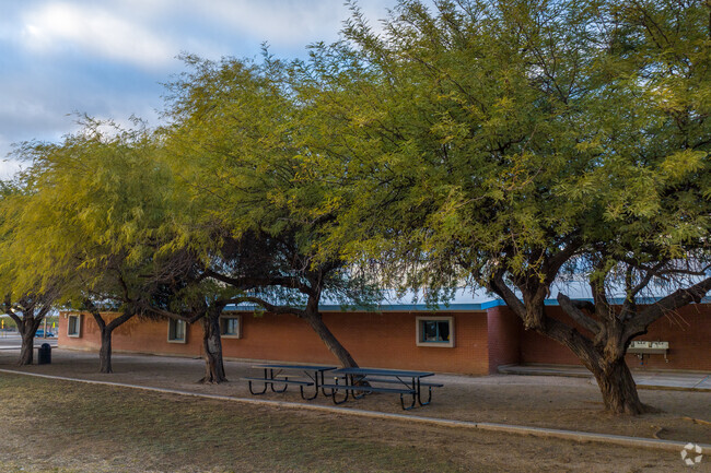 Mature Mesquites and other  trees line the school property