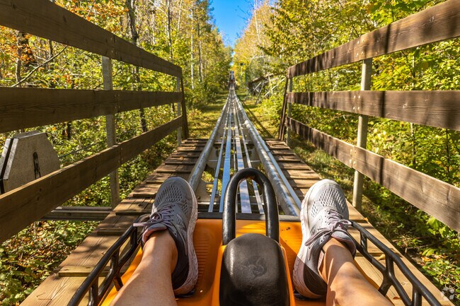 Visit the Adventure Park and take a ride on the Timber Twister Alpine Roller Coaster.