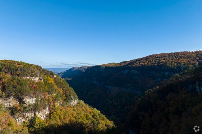 A gem in the Georgia State Park system is Cloudland Canyon in Rising Fawn.