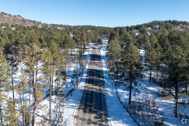 Mature pine trees line the roads of Castle Pines.