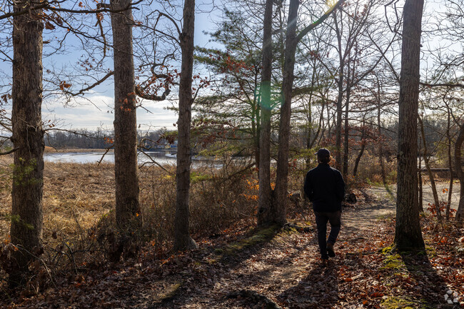 Take a hike through the miles of trails along the creek at Rancocas State Park.