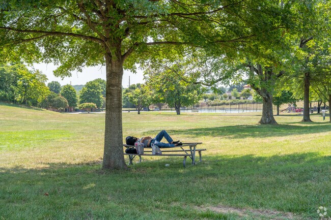 Take a nap in Fallon Park on a hot summer day.