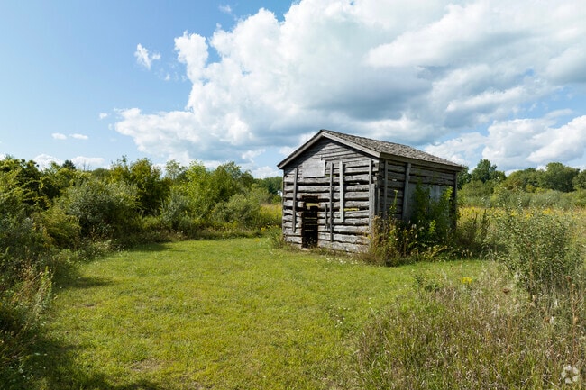 Hampshire hides old cabins in the woods at the local Hampshire Forest Preserve.