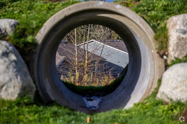 Play hide and seek at the Gateway Park in Hawks Prairie.