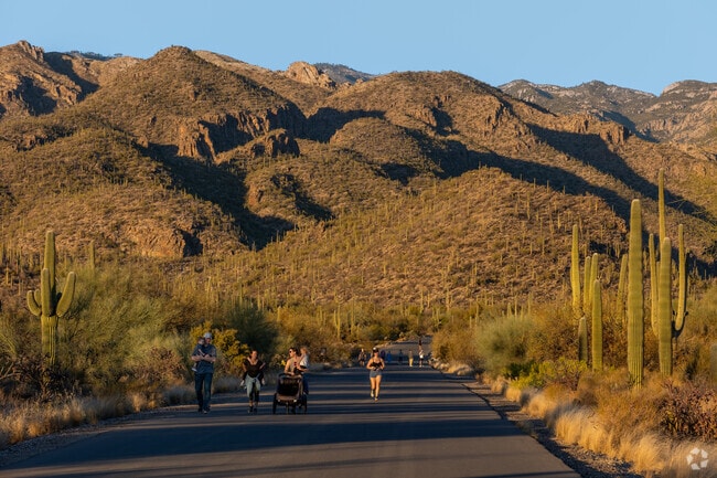 Part of the Coronado National Forest, Sabino Canyon is a popular recreational spot for locals and tourists.