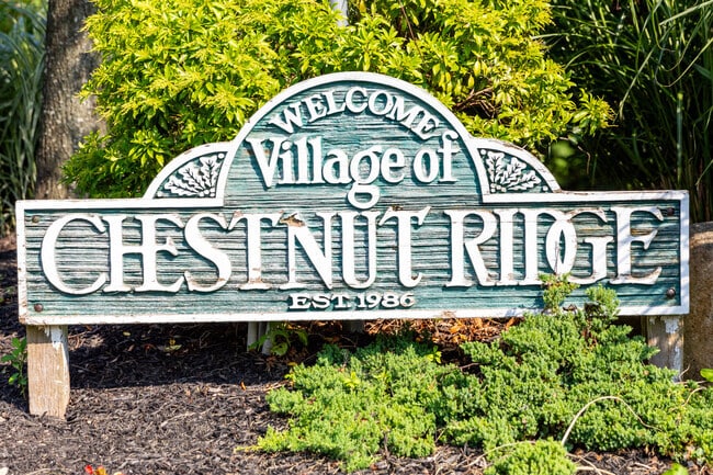 Chestnut Ridge is located right on the New York and New Jersey border.