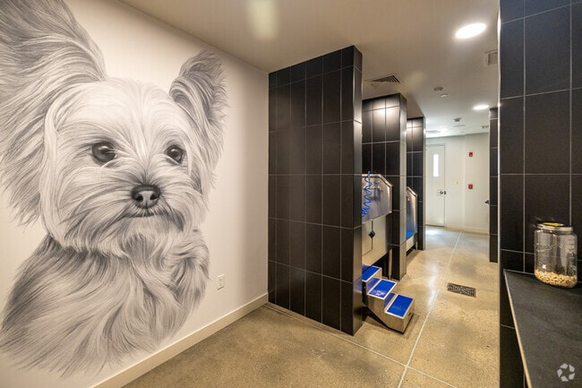 Pet Spa