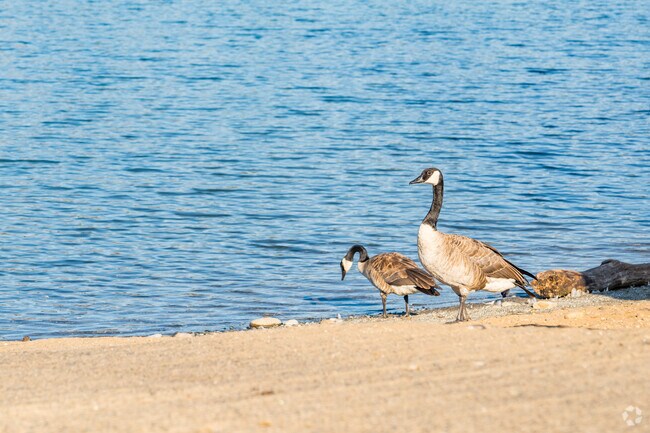 The Kutras Boat Ramp is a great place to go bird watching.