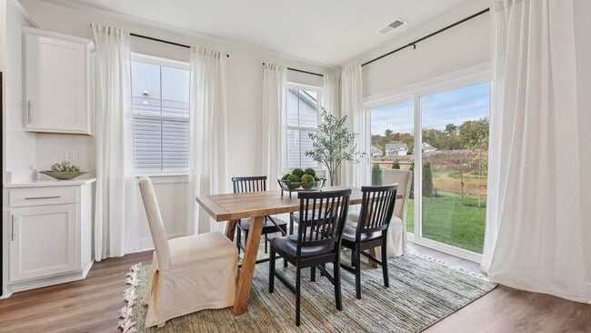 113 Trellis View Ln, Winchester, VA 22602 - photo 6