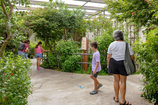 Families can enjoy the gorgeous greenhouse at Butterfly World in Coconut Creek.