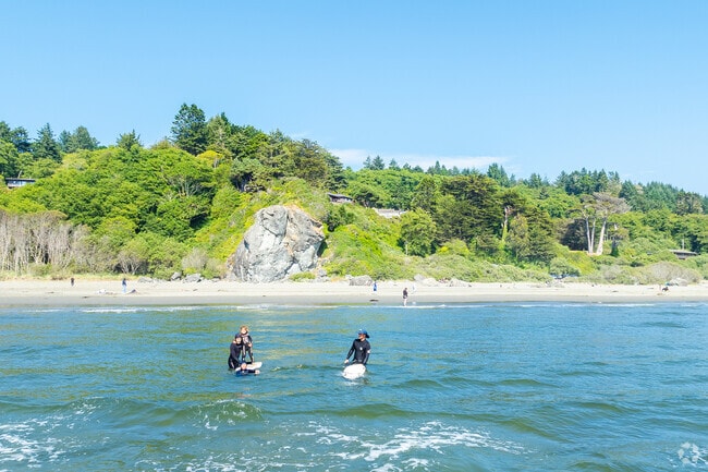 Bayside residents are never far from the beaches along the coast.