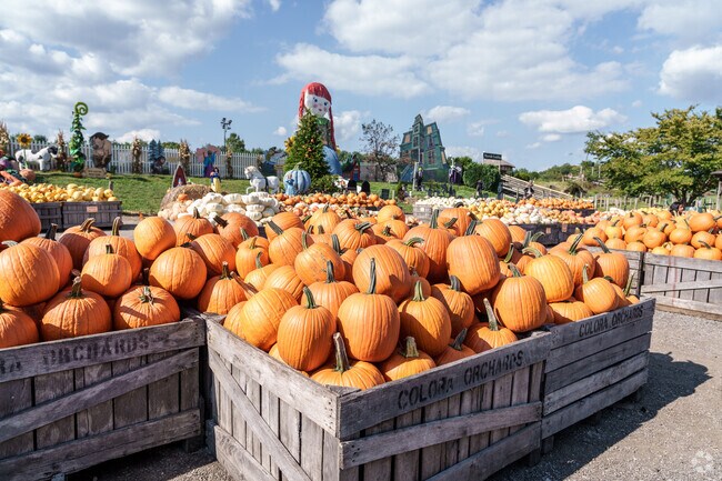 Linvilla Orchards near Chester Township is a popular destination for fall pumpkins.