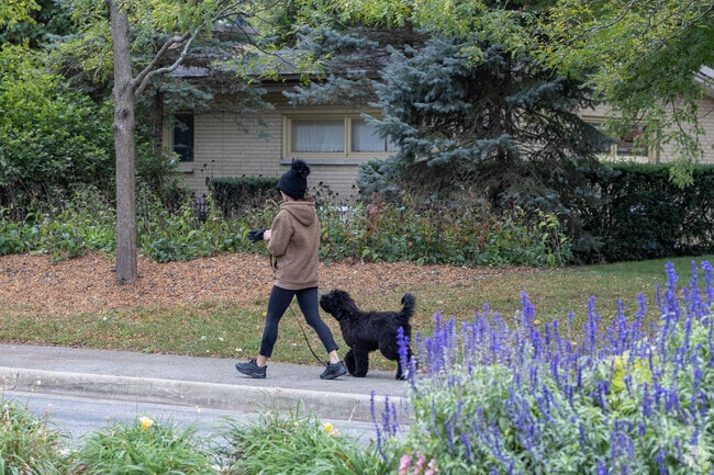 Woodland Park in Deerfield, Illinois is a great place to go for a walk.