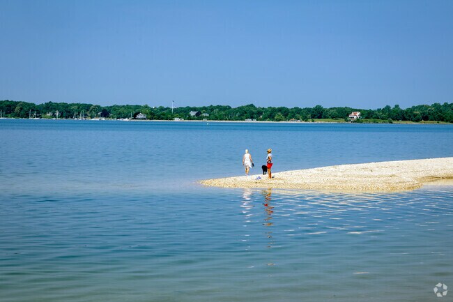 Take your dog for a walk (or a swim) at Lloyd Neck Beach.